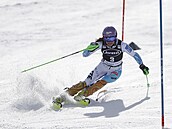 Lyaka árka Strachová bhem Svtového poháru v roce 2017.