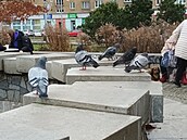 Kubánské nám�stí