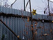 Stra�nice-uli�ka  u Sokola