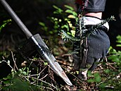 Výsadba stromk a obnova lesa je zásluná innost, vysazené stromky vem...