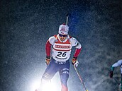 Vítzslav Hornig bhem sprintu v Östersundu