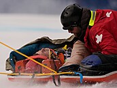 Dsivý pád Roka Anoha.