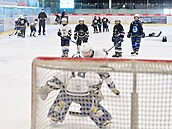 Trénink dtí. Hokejový svaz pro n nov zavádí pravidlo o zákazu hry do tla.