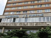 Budovu v Hoení ulici te vyuívají katedry pedagogické fakulty.