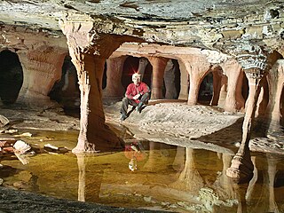 Jeskyn� Kolib�ík (Venezuela)