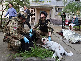Policisté uklid�ují zran�ného psa, zatímco poblí� vícepodla�ní budovy po�kozené...