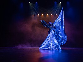 Odkazuje na viktoriánskou �extravaganzu�, její popularita se za�ala psát v...