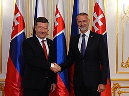 P�edseda Sn�movny Tomio Okamura (SPD) a Richard Ra�i (p�edseda Národní rady...