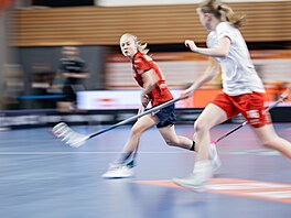 Také �enský florbal je n�kdy po�ádný fi�ák. Na snímku �eská úto�nice Karolína...