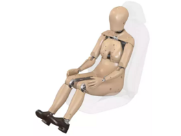 Americký ministr dopravy Sean Duffy v listopadu oznámil, �e plánuje povinné...