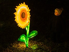 Sv�telná zahrada Winter World na hradeckém leti�ti (8. prosince 2025)