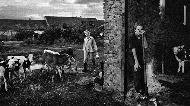 Ibra Ibrahimovi�: Ze s�rie P��b�h sedl�ka Rajtera (2003)