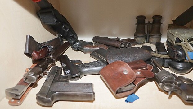 Pi domovnch prohldkch policist nalezli tak nkolik dlouhch a krtkch stelnch zbran rznch typ a r (vetn samopal i ton puky).