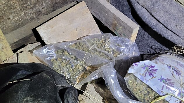 Pi domovnch prohldkch na severnm Plzesku zajistili celnci a policist destky kilogram drog.