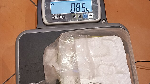Pi domovnch prohldkch na severnm Plzesku zajistili celnci a policist destky kilogram drog.