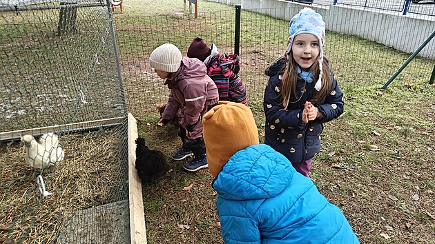 Ve kolce v Plzni na Skvranech maj dti iv slepiky. Sv zvec kamardy pojmenovaly Kurt, Meduka, Meruka, Tilda a Vloka. (27. listopadu 2025)