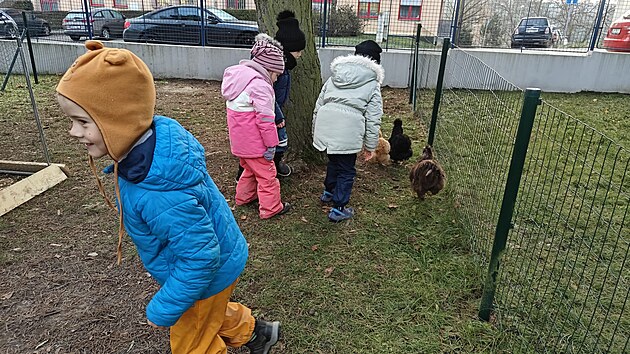 Slepiky pinej radost nejen dtem ze kolky, ale i lidem z okol. (27. listopadu 2025)