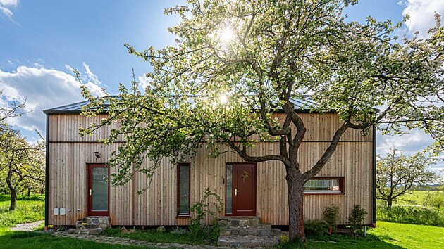 Jablon� z�stalo v sadu dost i p�es nutn� pok�cen� jedn� z nich, kter� vy�e�ilo probl�m s m�stem pro je��b. 