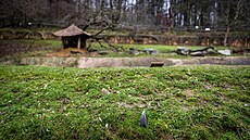 Jihlavská zoo po jednodenn�­m uzavřen�­ kvůli ptaÄ��­ chřipce obnovila provoz