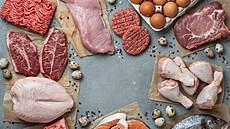 ilustra�ní snímek