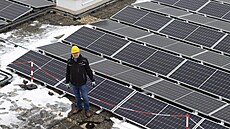 Ale� Spá�il je �éfem spole�nosti Greenbuddies