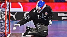 Nikola P�íleská zasahuje v utkání proti Dánsku.