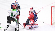 Pardubický gólman Will neudrel kotou, který smoval za jeho záda.