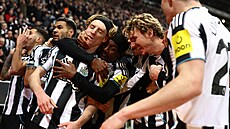 Hrá�i Newcastlu se radují z gólu do sít� Tottenhamu.