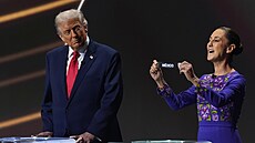 Americký prezident Donald Trump se po více ne deseti msících v úad poprvé...