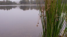 Kde voda znovu na�la cestu � krajina rybník�, mok�ad� a nových biotop�