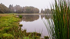 Kde voda znovu na�la cestu � krajina rybník�, mok�ad� a nových biotop�