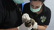 .  Lucie �i�má�ová p�i záchran� outlon�.