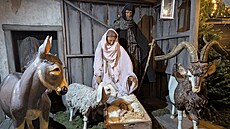 Berlínské váno�ní trhy nabízejí klasické stánky s ob�erstvením, ale také r�zné...