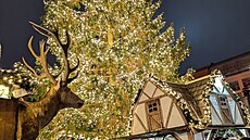 Berlínské váno�ní trhy nabízejí klasické stánky s ob�erstvením, ale také r�zné...