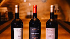 Je�í�ek v láhvi ud�lá radost jemu i jí, radí vina�ská rodina Foltýn�