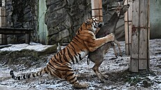 PODLE ZÁKONA. Krmit �ivými zví�aty se v zoo nesmí. Výjimku mají...