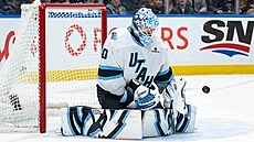 Karel Vejmelka zastavuje st�elu Vancouveru.