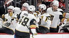 Tomá Hertl slaví se stídakou Vegas gól.