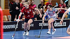 Michaela Mechlová brání mí�ek p�ed �výcarkou Norinou Reusserovou.