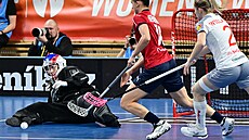 �eská branká�ka Nikola P�íleská zasahuje v utkání se �výcarskem.