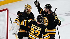 Hokejisté Bostonu se radují z vít�zství nad St. Louis.