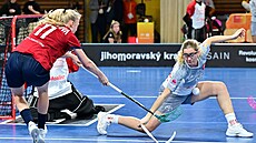 Karolína Klubalová p�ihrává p�ed branku v utkání se �výcarskem.