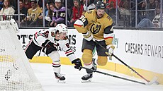 Tomá� Hertl dr�í u mantinelu puk p�ed Connorem Bedardem.