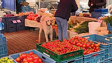 Kubánské nám�stí