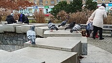 Kubánské nám�stí