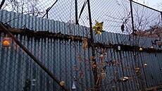 Stra�nice-uli�ka  u Sokola