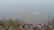 Vandalové v Nymburce zni�ili adventní výzdobu. (30. listopadu 2025)