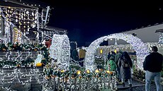 Na osvtlený dm v Libianech se jezdí dívat tisíce lidí. (9. prosince 2025)