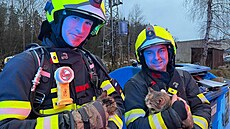 P�t �ivot� zachránili hasi�i p�i likvidaci po�áru rodinného domu v Rychnov� u Jablonce nad Nisou. Z toho �ty�i zví�ecí. 