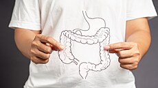 Významným �initelem v tom, jak vypadá osazenstvo na�ich st�ev, je také...